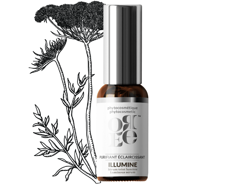 ILLUMINE Teint lumière - All Products - L'abc du maquillage